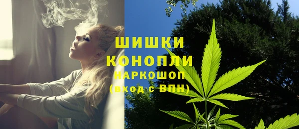 стафф Надым