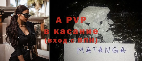 стафф Алексин