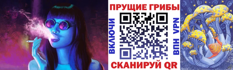 KRAKEN зеркало  цена наркотик  Мышкин  Псилоцибиновые грибы ЛСД 